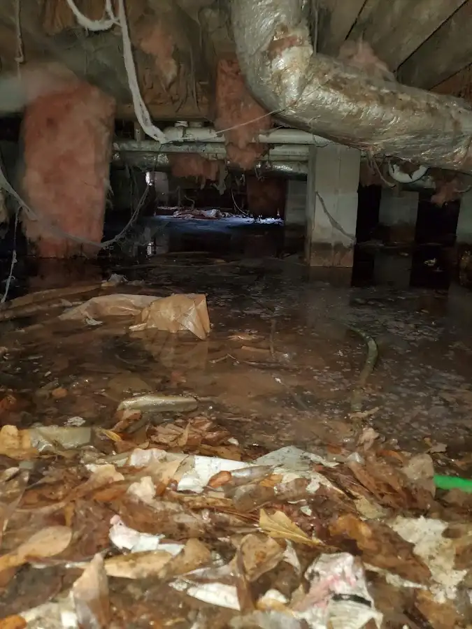Crawl space flood assessment for Leak Detection & Repair in Albany